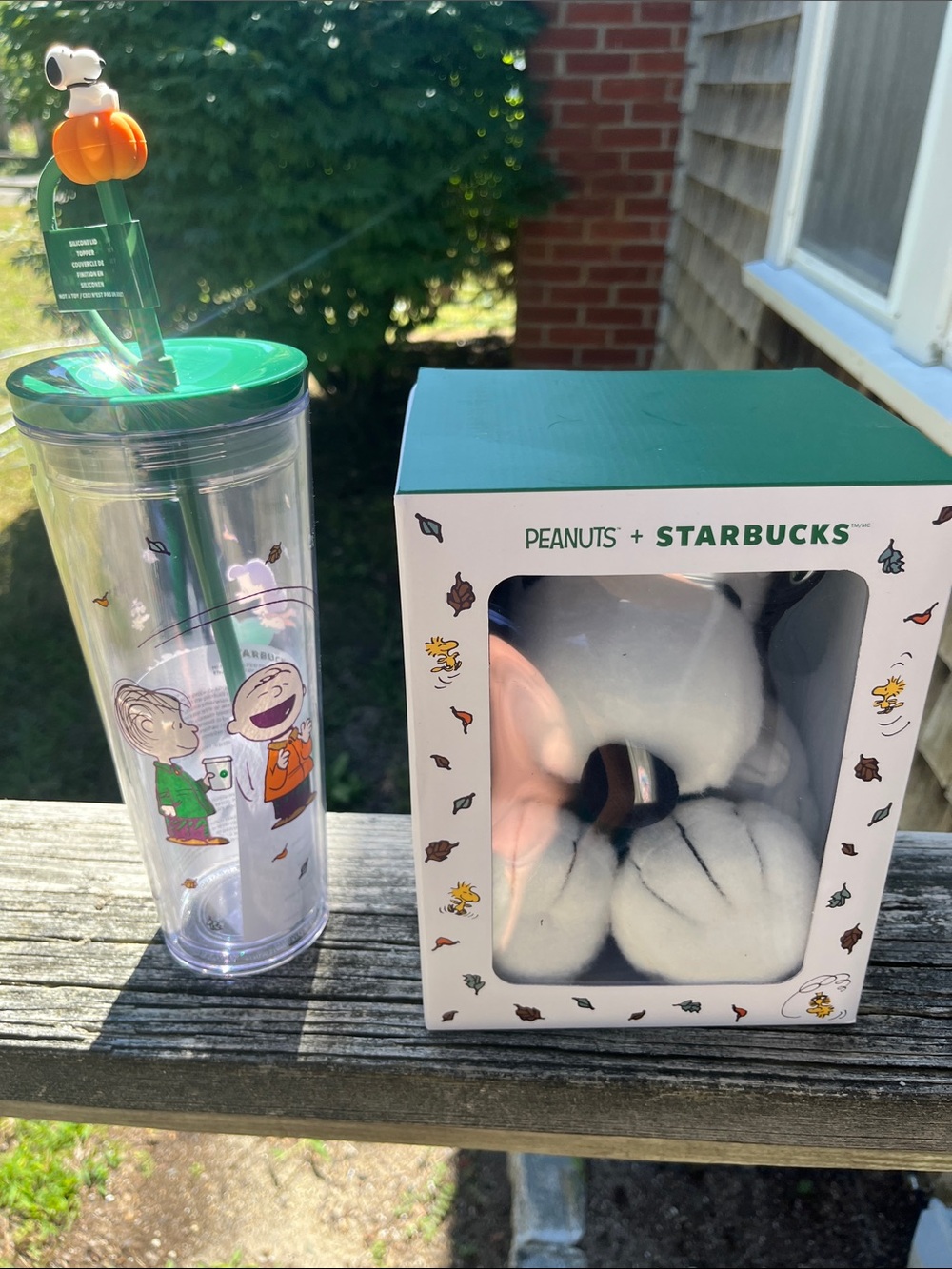 Starbucks Green-Accented Peanuts Tumbler with Snoopy Plush Set